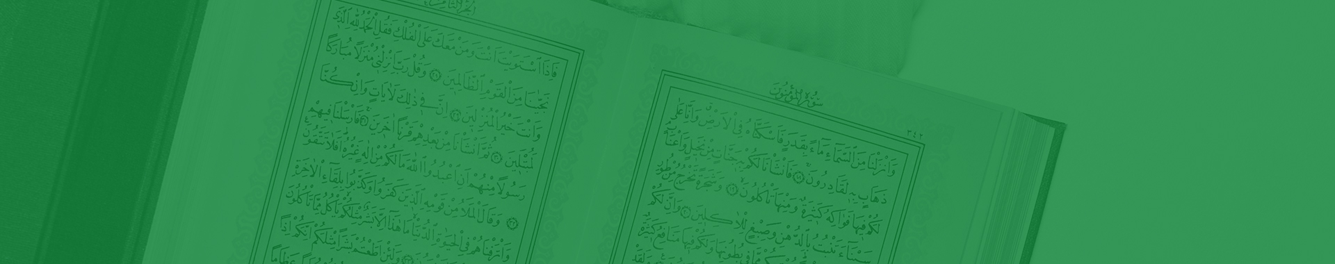 banner-